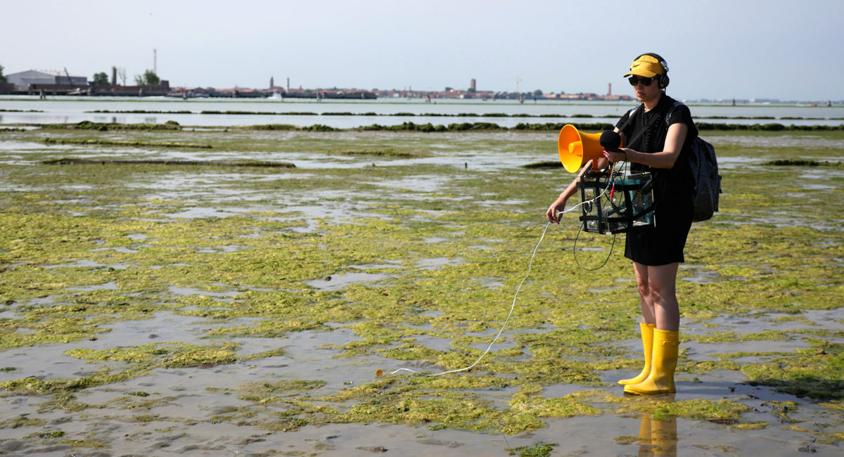 A student on a marshy plain records sounds with a yellow megaphone.